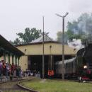 Parowozjada 2013 - TKt48-191 with a train (Chabówka, Poland)