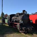 WK15 Ełk Wąsk. (16) Lichen99